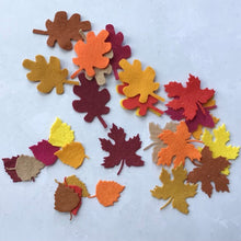 Load image into Gallery viewer, Felt Mixed Leaf Bundle, Die cut mixed leaves, Felt Autumn Leaves
