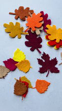 Load and play video in Gallery viewer, Felt Mixed Leaf Bundle, Die cut mixed leaves, Felt Autumn Leaves
